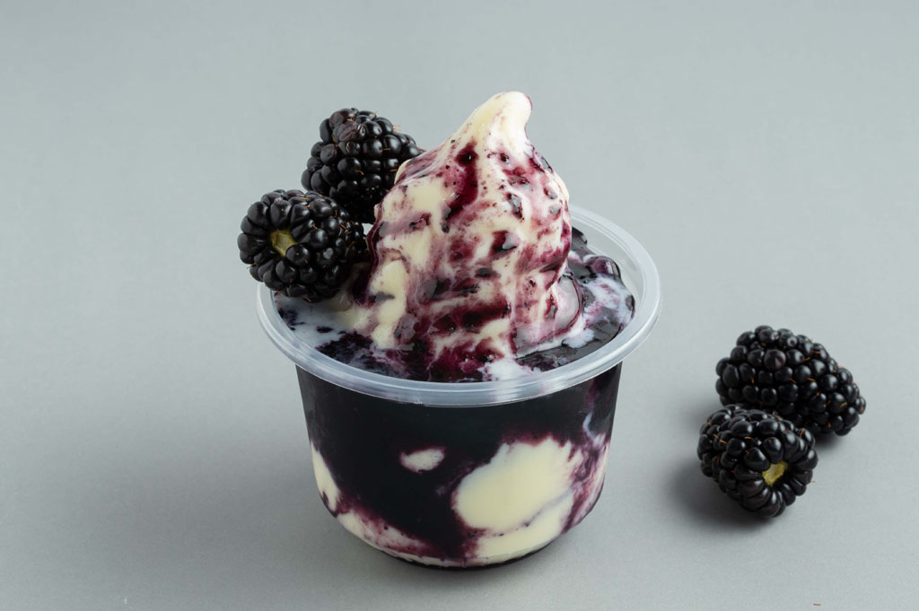 138-Blueberry Topping Puree Ice Cream .jpg